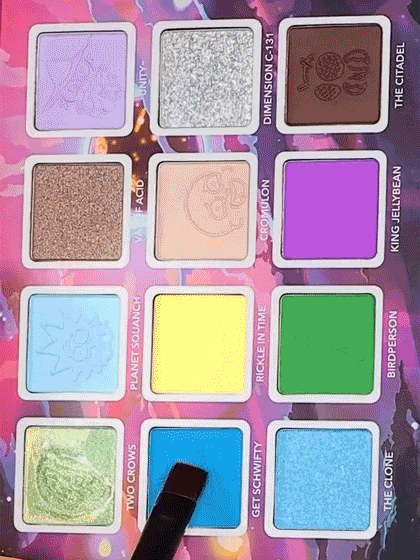 Rick and Morty X SHEGLAM The Meaning (Lessness) Of Life Palette