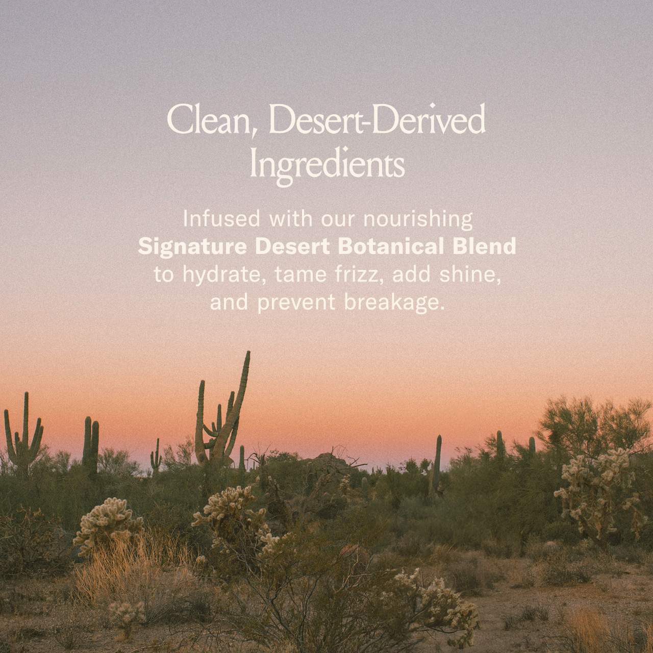 dae Freshly Picked Styling Trio