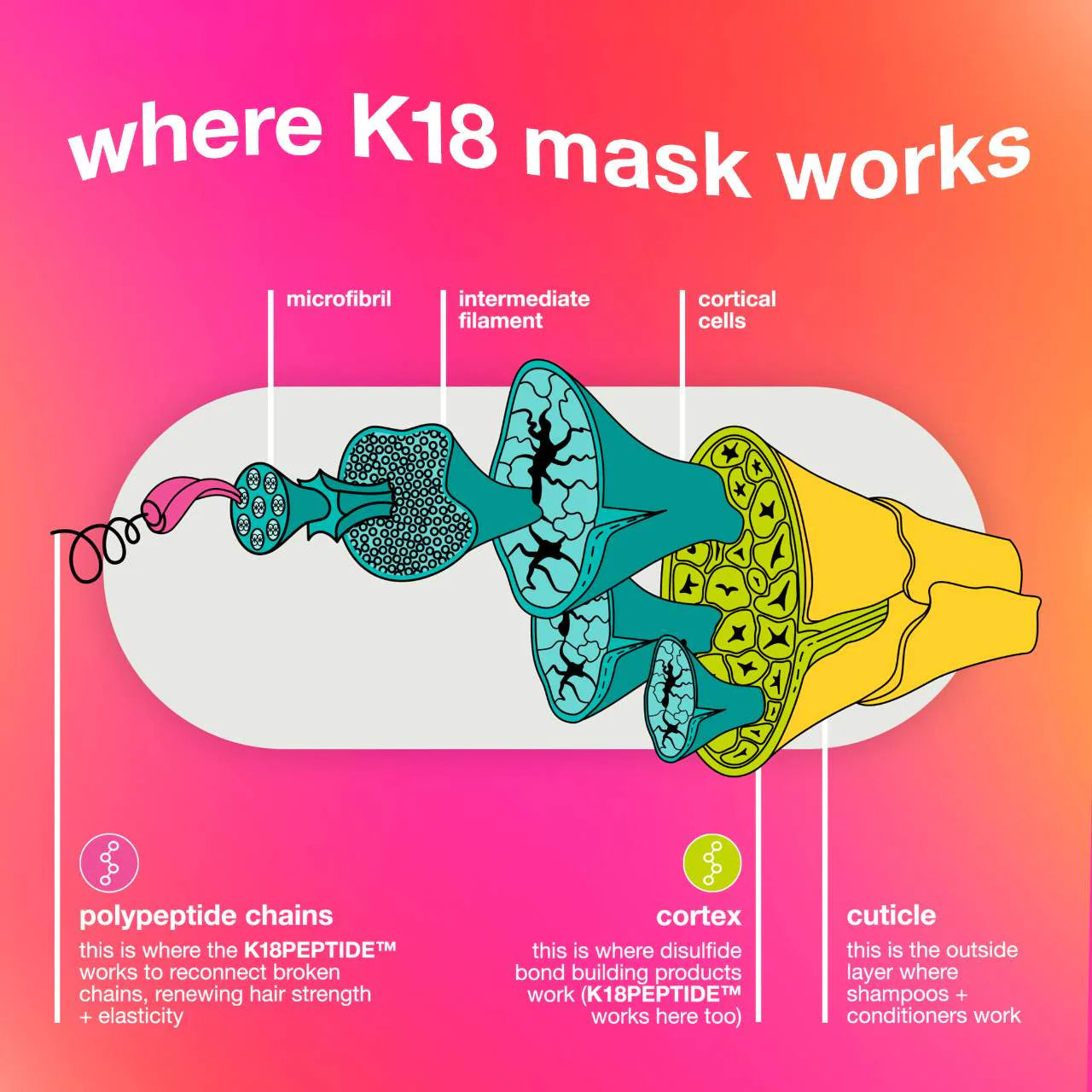 K18 Biomimetic Hairscience Repair + Protect Minis Kit