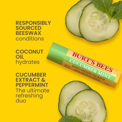 Burt's Bees Freshly Picked Lip Balm 4-Pack