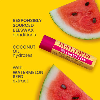 Burt's Bees Freshly Picked Lip Balm 4-Pack