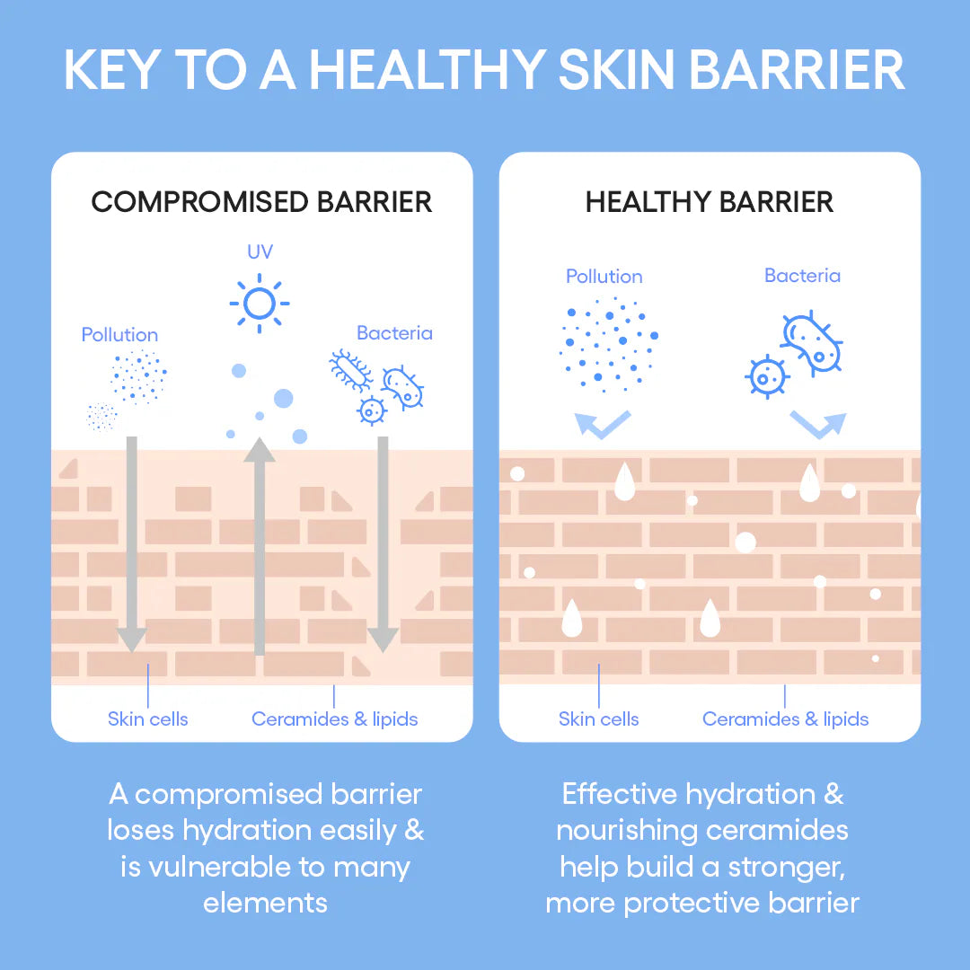 LANEIGE Cream Skin Refillable Toner & Moisturizer