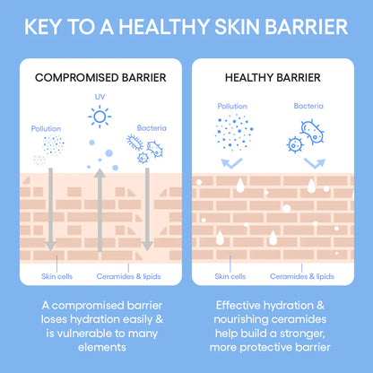 LANEIGE Cream Skin Refillable Toner & Moisturizer