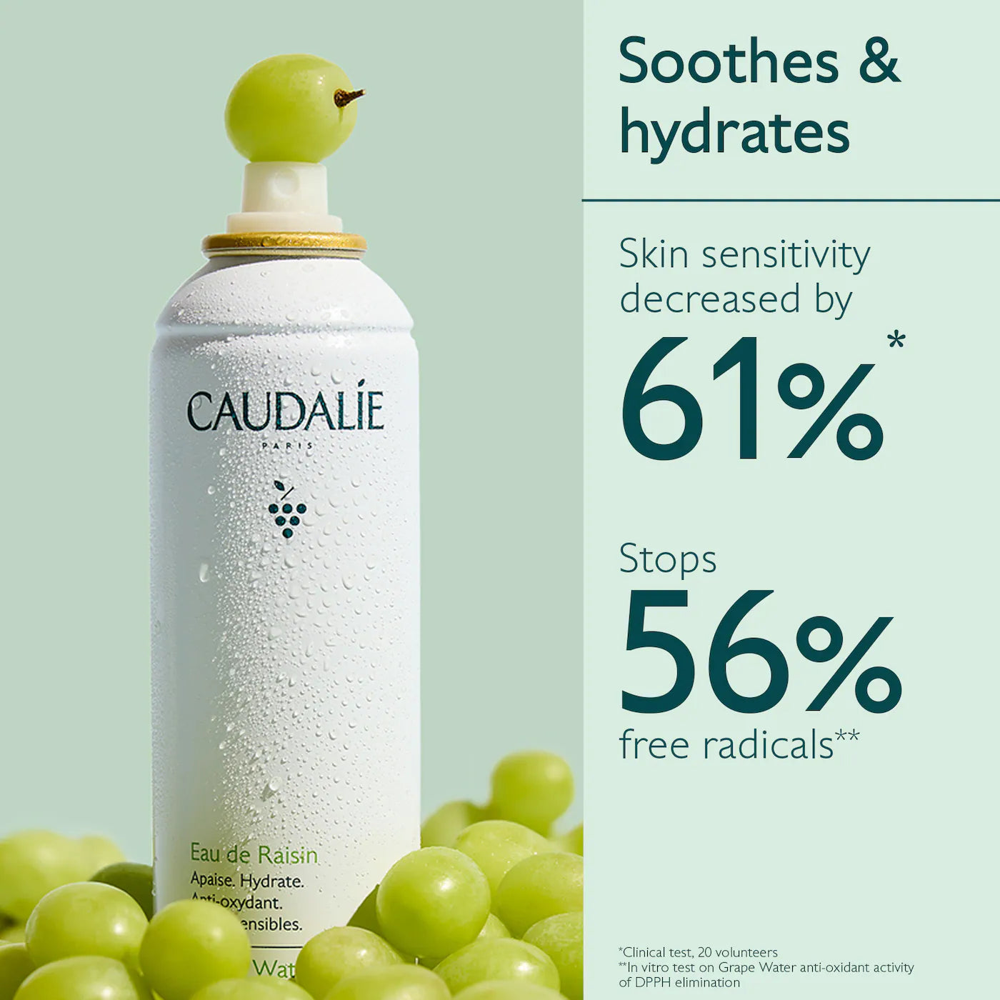 Caudalie Mini Grape Water Moisturizing Face Mist