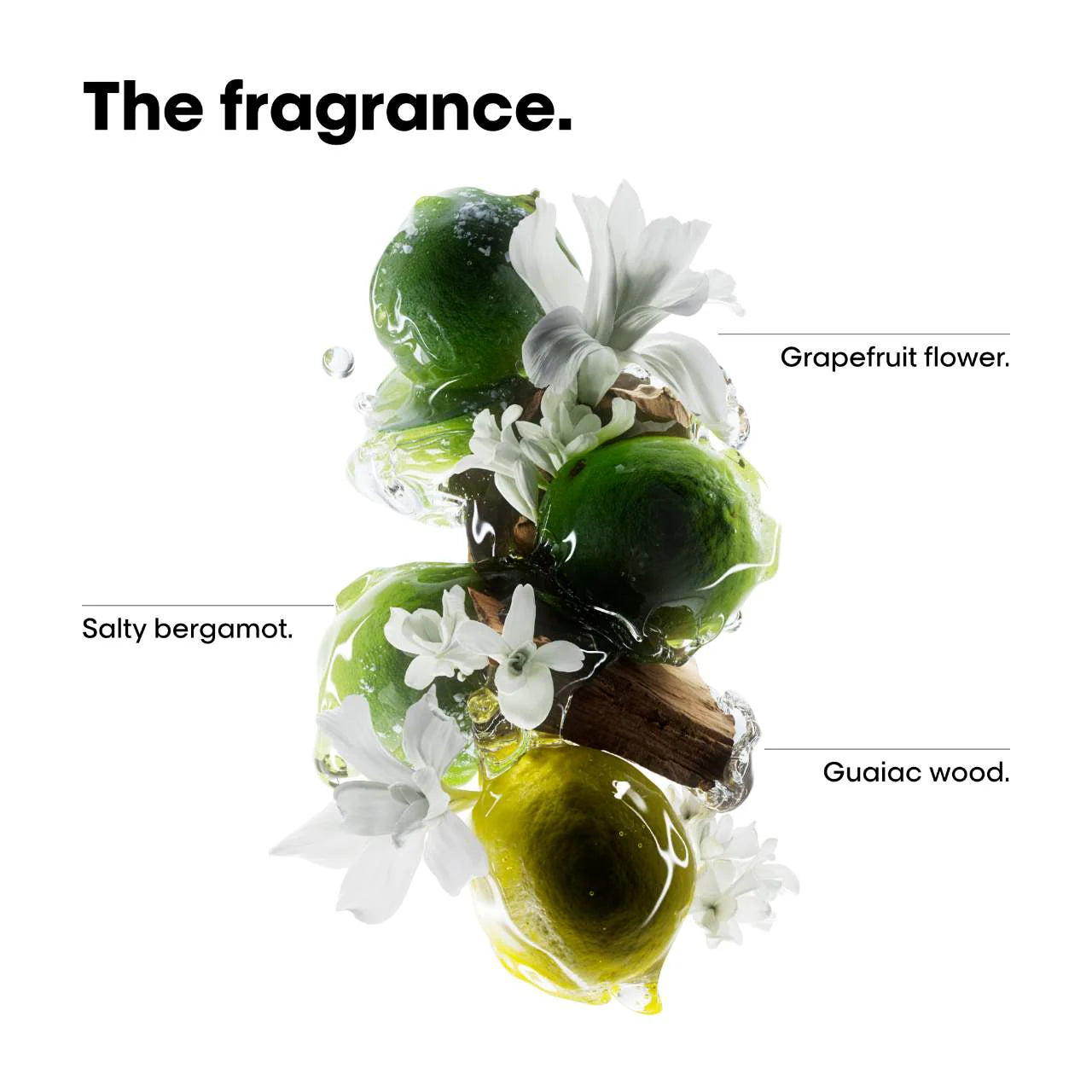 L'Oréal Professionnel Metal Detox Shampoo & Mask Value Set