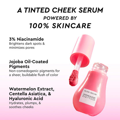 Glow Recipe X Beautyblender Watermelon Glow Bestsellers