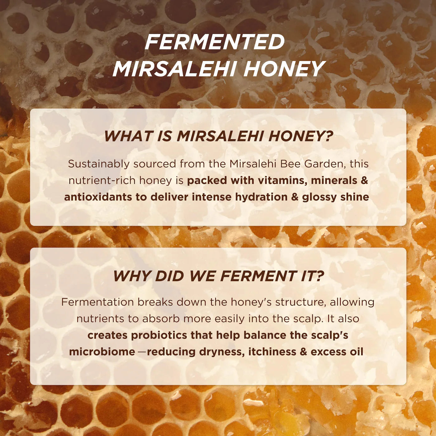 Gisou Honey Gloss Ceramide Therapy Hydrating Shampoo & Conditioner Duo