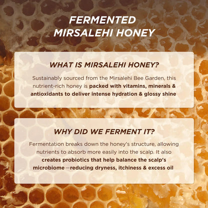 Gisou Honey Gloss Ceramide Therapy Hydrating Shampoo & Conditioner Duo