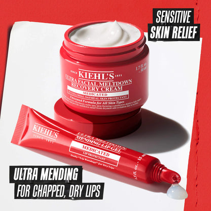 Kiehl's Ultra Meltdown Mending Lip Gel