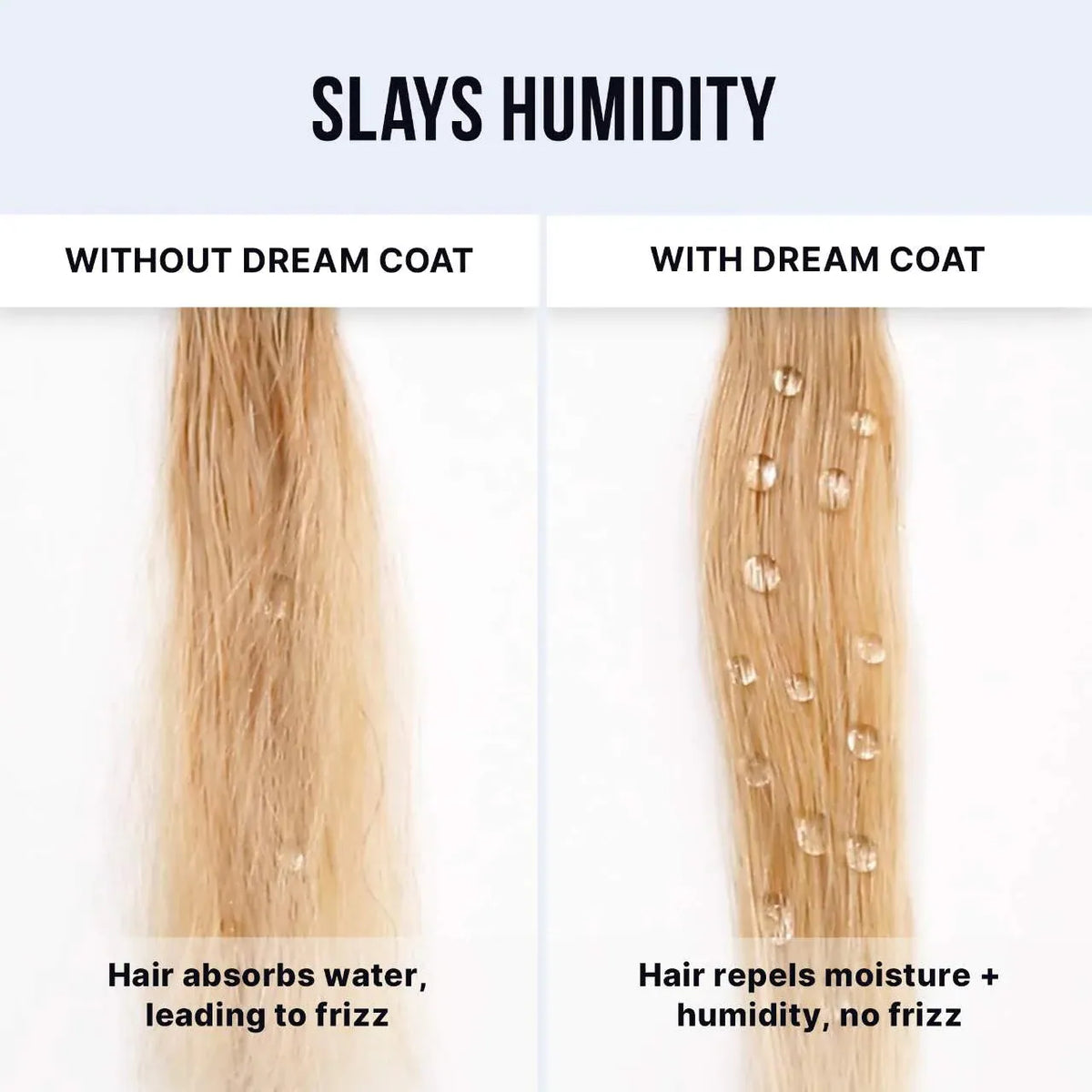 COLOR WOW Dream Coat Treatment Spray Set